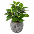 Plante verte artificielle 65 cm en plastique vert avec pot décoratif texturé